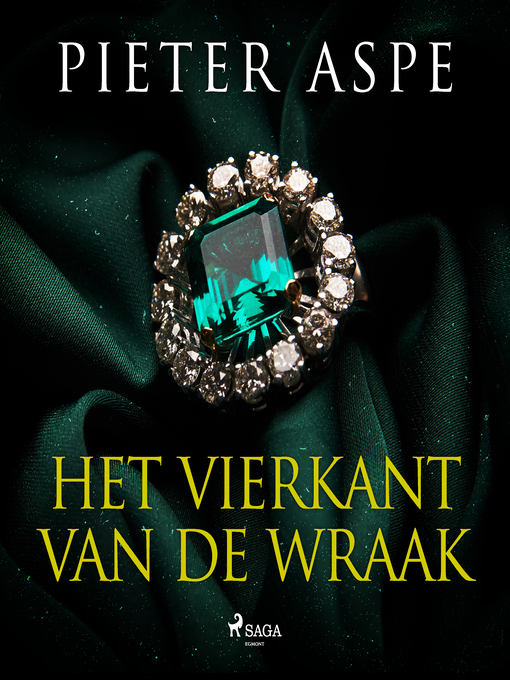 Title details for Het vierkant van de wraak by Pieter Aspe - Wait list